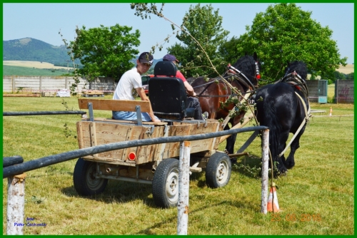 201606261643520.furmanske_preteky_032