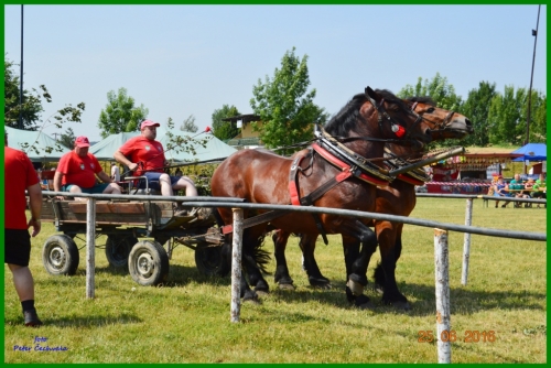 201606261643520.furmanske_preteky_036