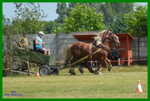 201606261643520.furmanske_preteky_049