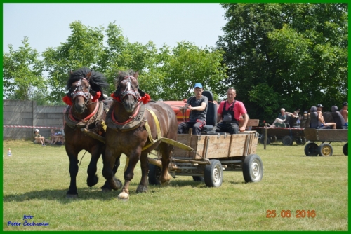 201606261643520.furmanske_preteky_054