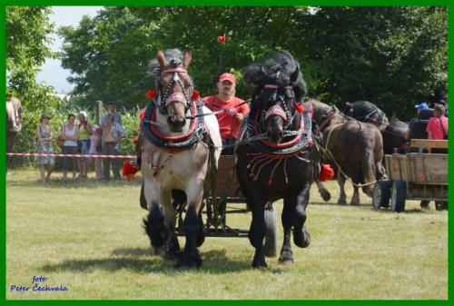 201606261643520.furmanske_preteky_068