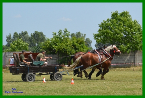 201606261643520.furmanske_preteky_079