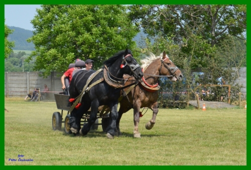 201606261643530.furmanske_preteky_087