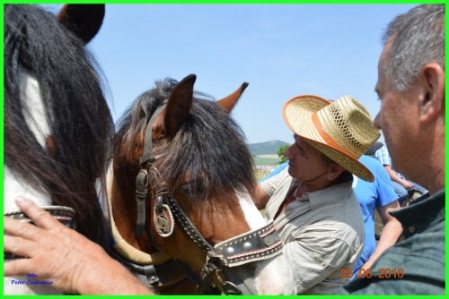 201606261643530.furmanske_preteky_097