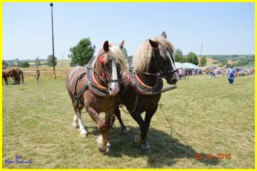 201606261643530.furmanske_preteky_116