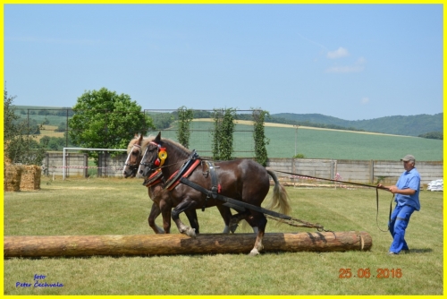 201606261643530.furmanske_preteky_126