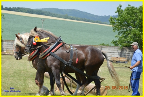 201606261643530.furmanske_preteky_130