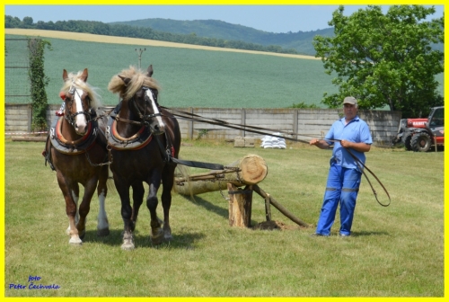 201606261643530.furmanske_preteky_133