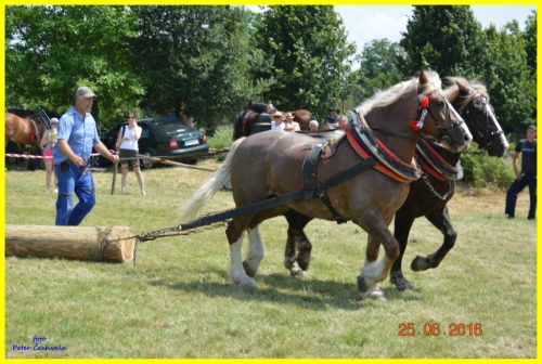 201606261643530.furmanske_preteky_135