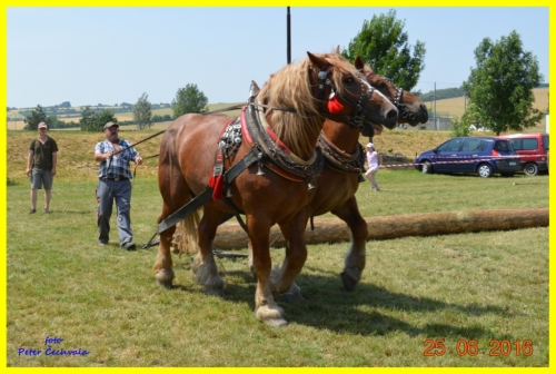 201606261643530.furmanske_preteky_138