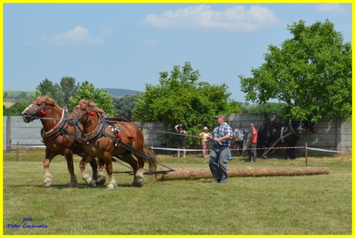 201606261643530.furmanske_preteky_142