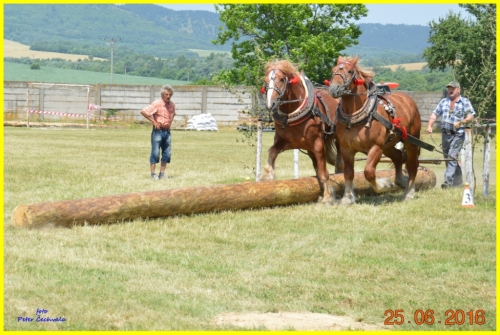 201606261643530.furmanske_preteky_151