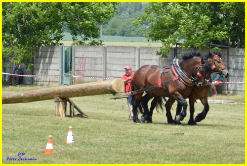 201606261643530.furmanske_preteky_170