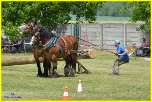 201606261643530.furmanske_preteky_177