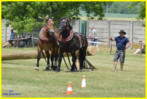 201606261643530.furmanske_preteky_189