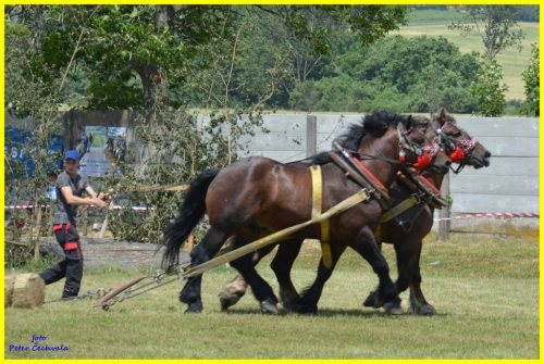 201606261643530.furmanske_preteky_206