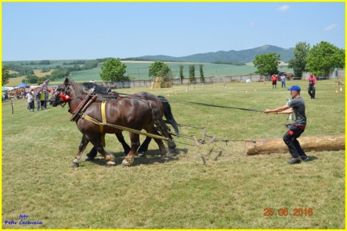 201606261643530.furmanske_preteky_208