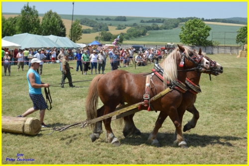 201606261643530.furmanske_preteky_215