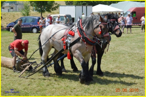 201606261643530.furmanske_preteky_231