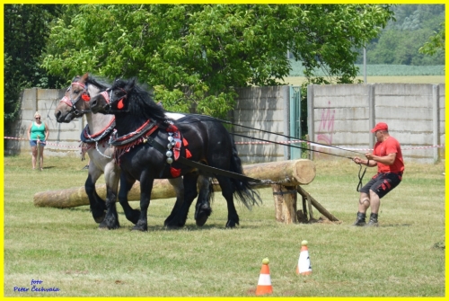 201606261643530.furmanske_preteky_240