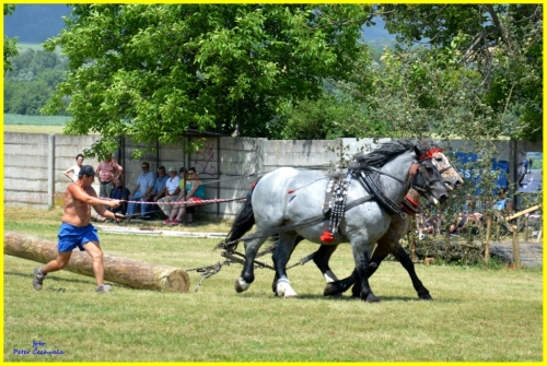 201606261643530.furmanske_preteky_257