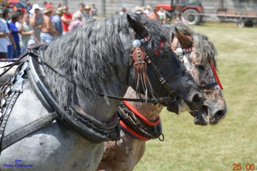 201606261643530.furmanske_preteky_262