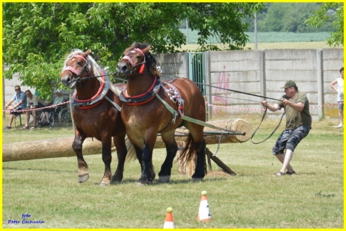 201606261643530.furmanske_preteky_264