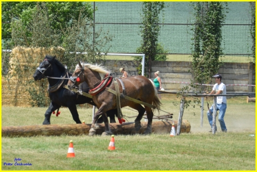 201606261643530.furmanske_preteky_278