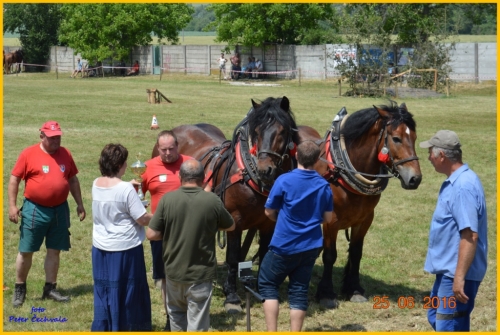 201606261643530.furmanske_preteky_288