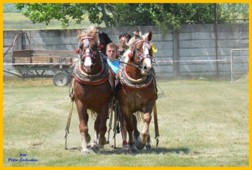 201606261643530.furmanske_preteky_304