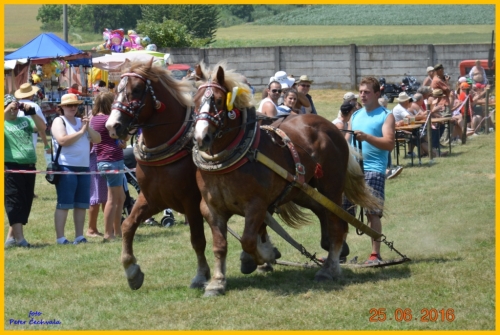 201606261643530.furmanske_preteky_306