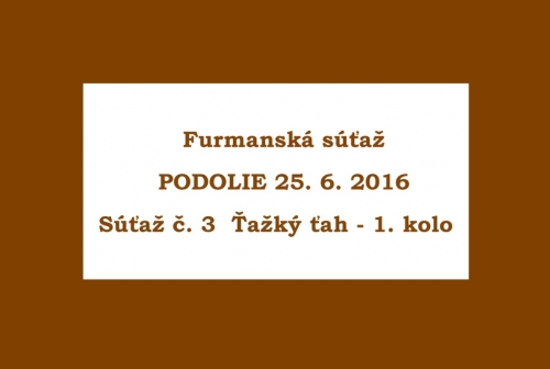201606261643530.furmanske_preteky_314a