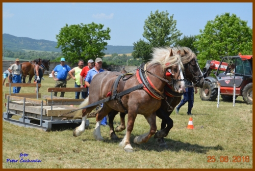 201606261643530.furmanske_preteky_315