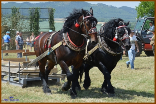 201606261643530.furmanske_preteky_324