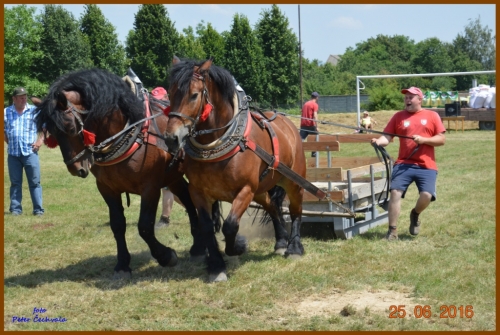 201606261643530.furmanske_preteky_333