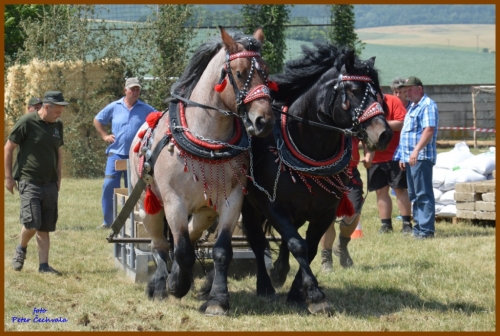 201606261643530.furmanske_preteky_358