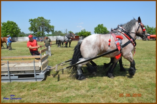 201606261643530.furmanske_preteky_362