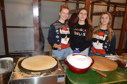 202512141145530.vianocne-trhy-podolie-25-44