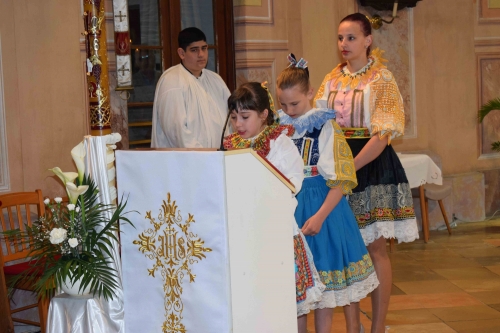 202604271708300.dsc-0151