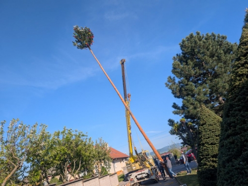 202605022304150.stavanie-maja33