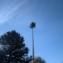 Fotografia: V Podolí sme postavili MÁJ