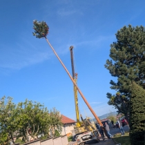 Fotografia: V Podolí sme postavili MÁJ